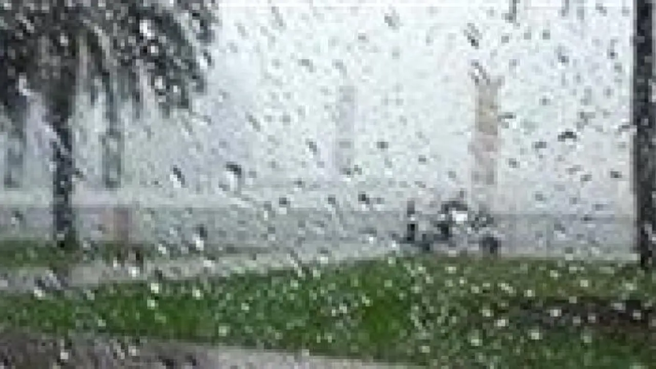 الأرصاد تحذر من أمطار غزيرة ورياح مثيرة للأتربة خلال طقس الإثنين